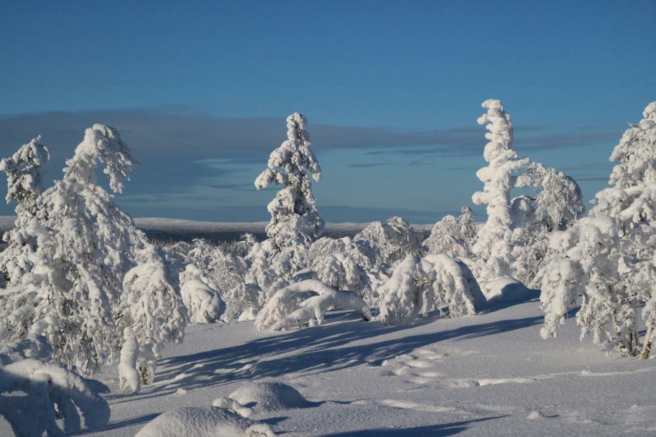 Polaris Homes For You, Apartment Rovaniemi Extérieur photo