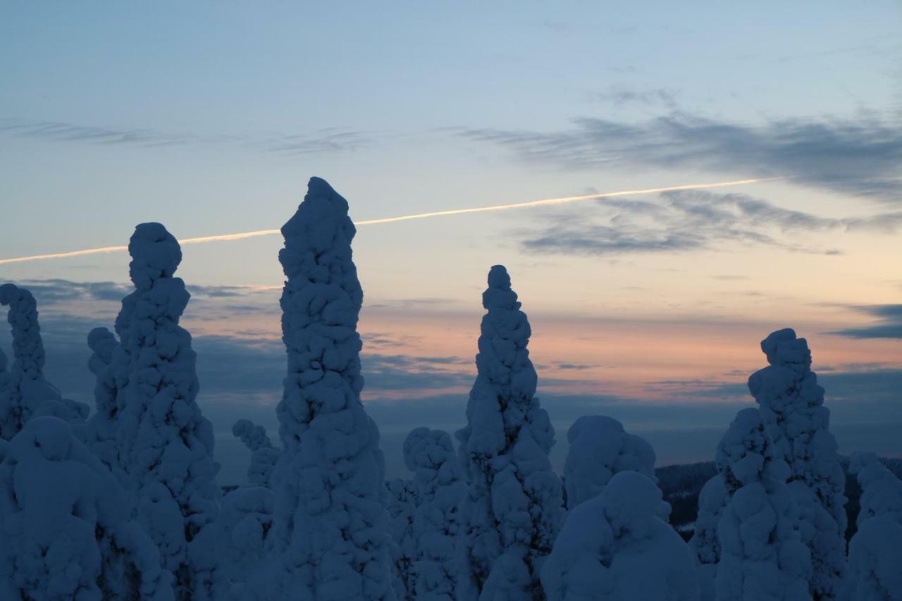 Polaris Homes For You, Apartment Rovaniemi Extérieur photo